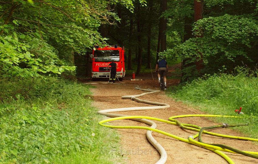 Waldbrand Bergisch Gladbach Bensberg P090.JPG